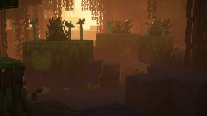 Болотный сниффер