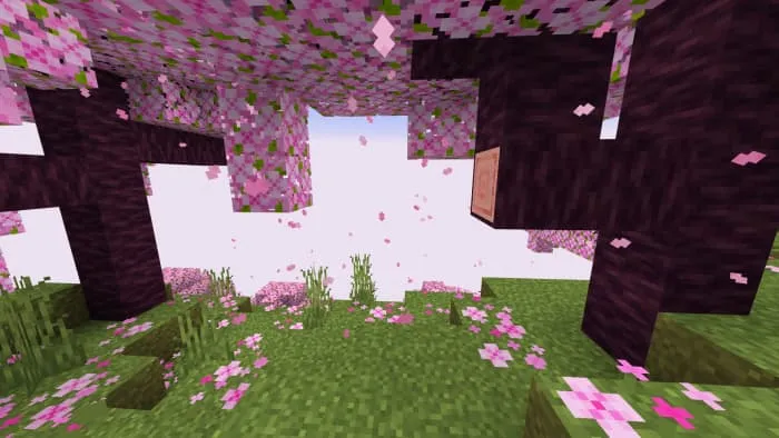 Новый вид тумана в вишневом биоме