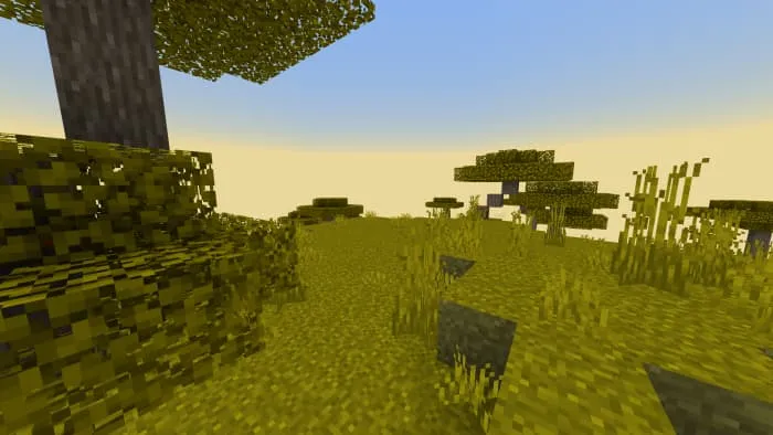 Новый вид тумана в саване