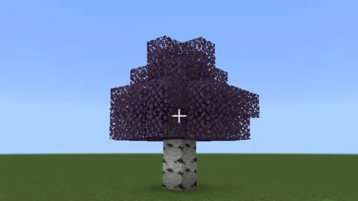 Новый вид березы