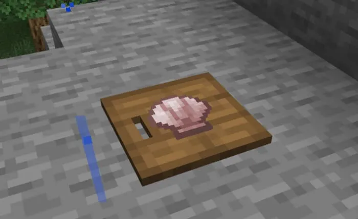 Моллюск на доске