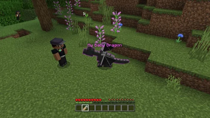 Дракон Края с именем