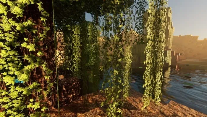 Новый вид лиан