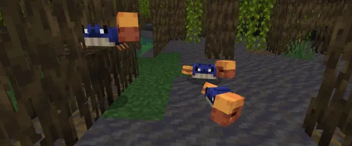 Крабы в манграх