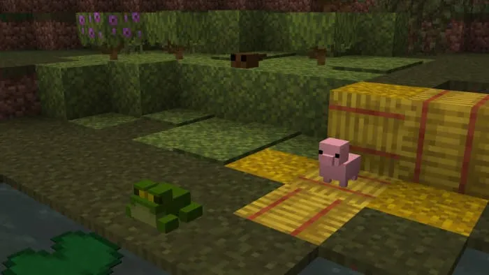 Плюшевая лягушка и свинья