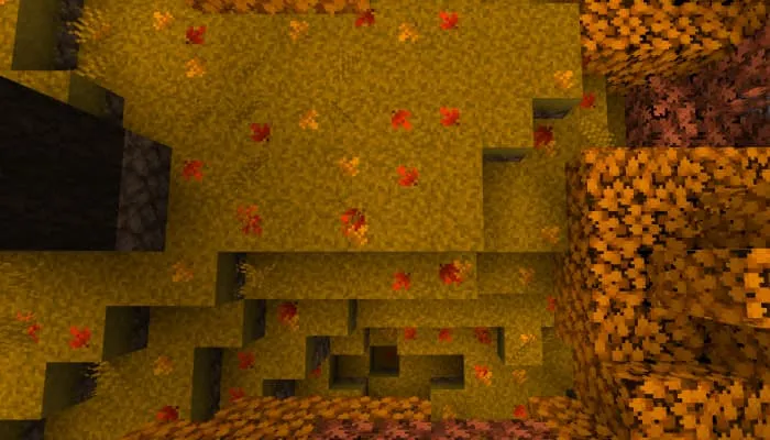 Листья деревьев на земле