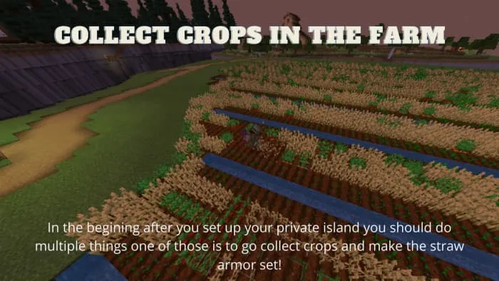 Сбор урожая на ферме