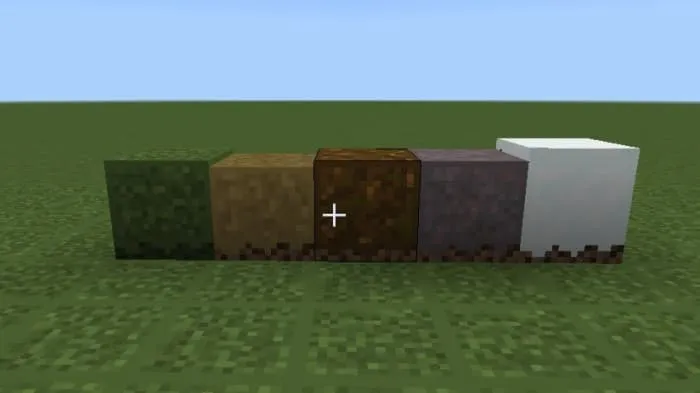 Новый вид земли