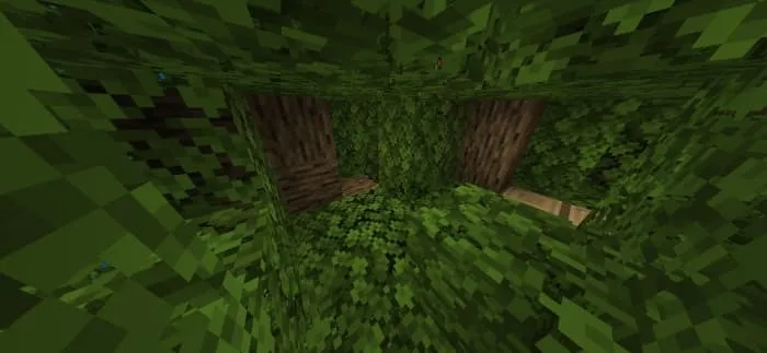 Прятки в дереве