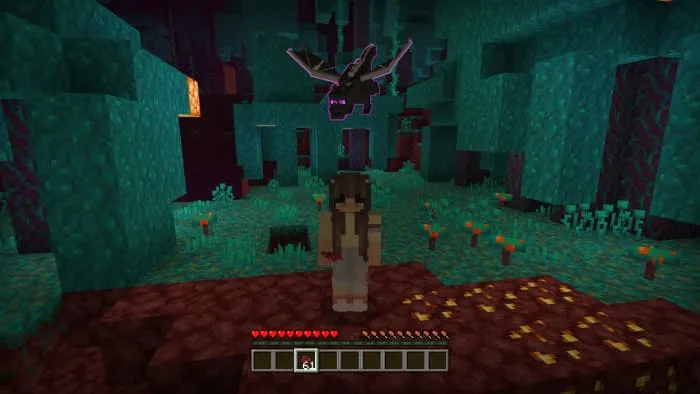 Дракончик рядом с игроком