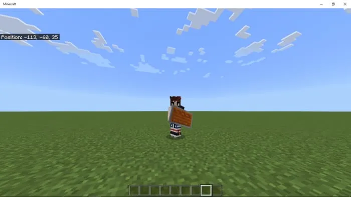 Щит из древесины акации в руке