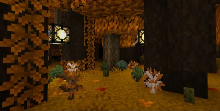 Осенние саженцы и листва