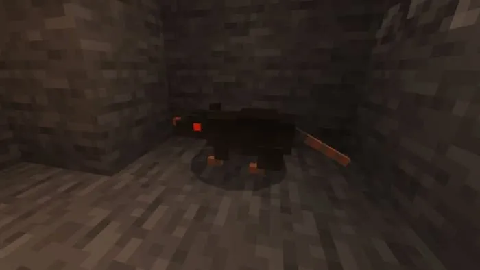 Проклятая крыса