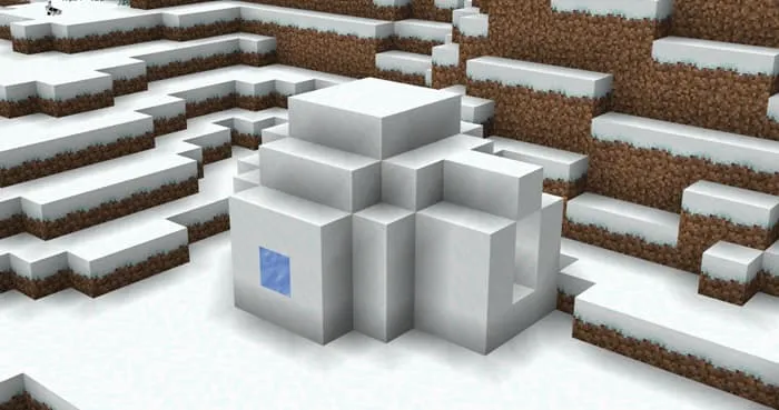 Иглу в биоме