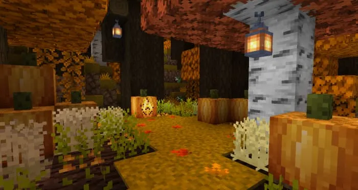 Грядки с растительностью