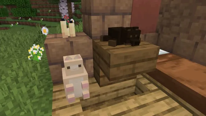 Плюшевый котенок и собака