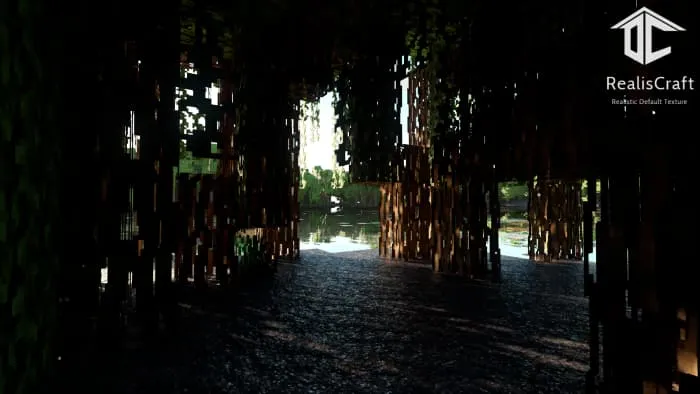 Новый вид болота