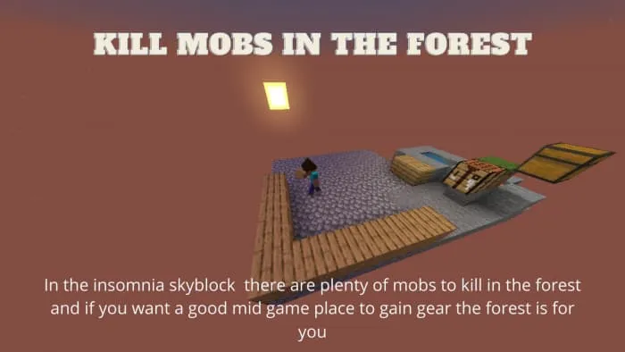 Игрок на скайблоке