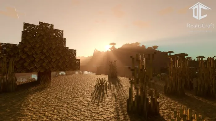 Новый вид травы