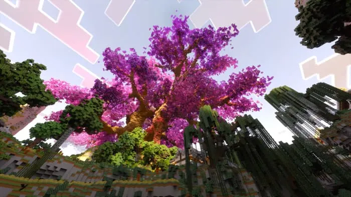 Новый вид сакуры