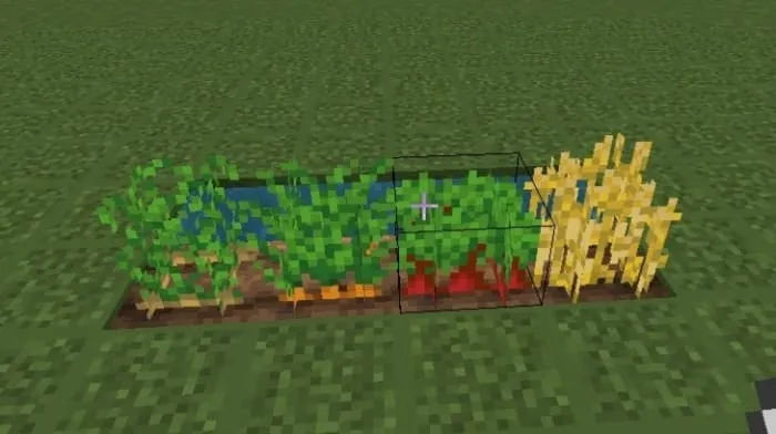 Новый вид растений