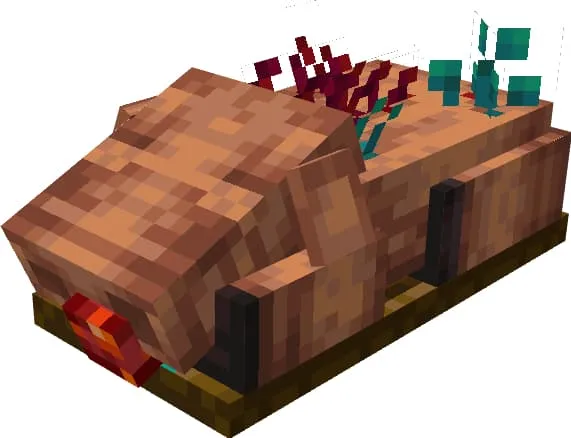 Фаршированный Хоглин