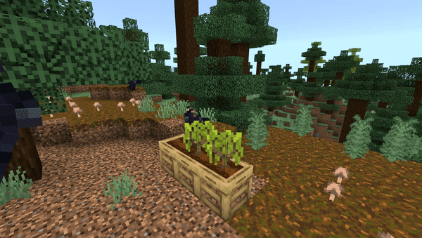 Вороны летают над урожаем