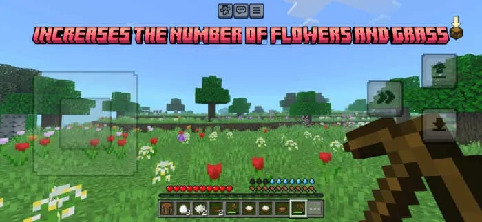 Большая поляна