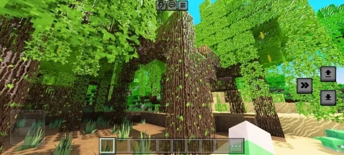 Новый вид мангровых деревьев