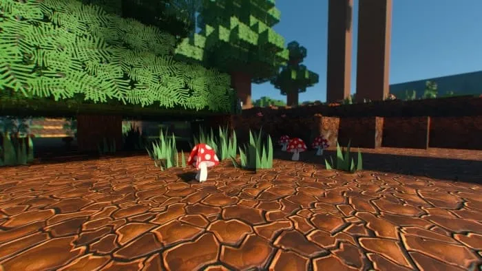 Новый вид тайги