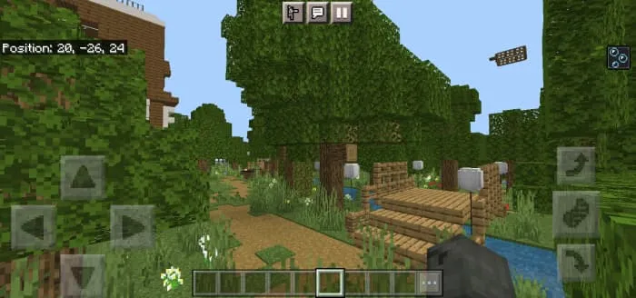 Прятки в лесу