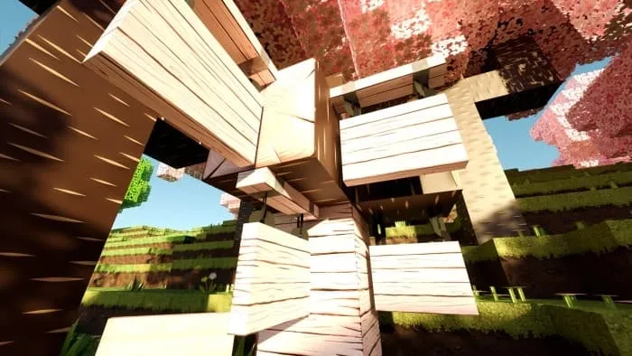 Новый вид вишнёвых деревьев