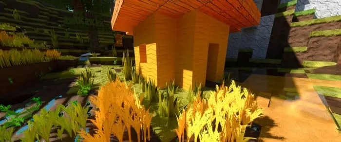 Новый вид пшеницы