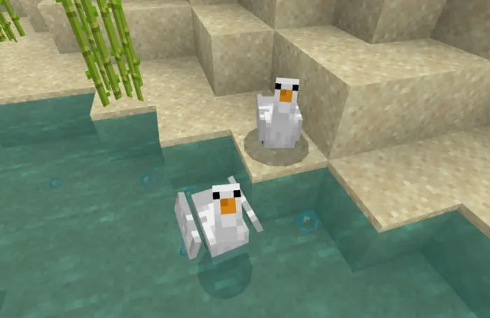 Гусь в воде