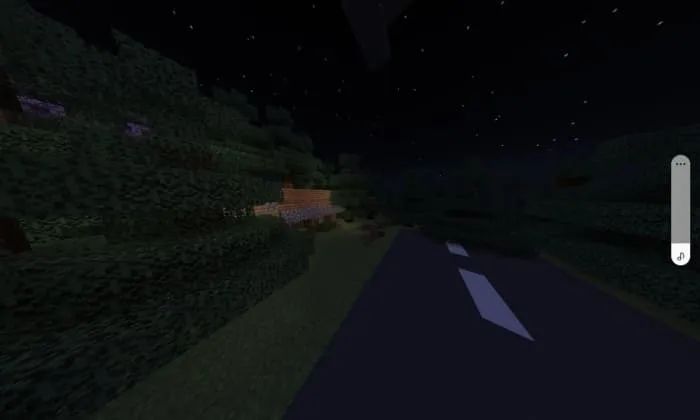 Дорога к дому соседу