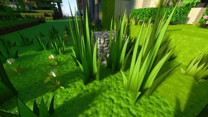 Новый вид травы