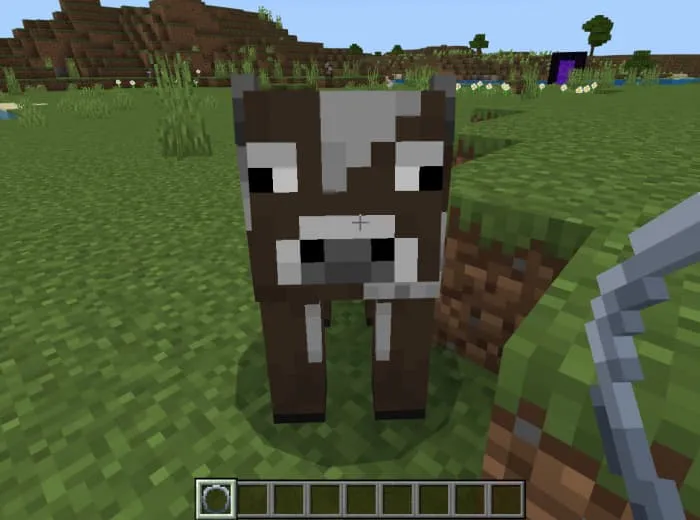 Корова и древняя реликвия