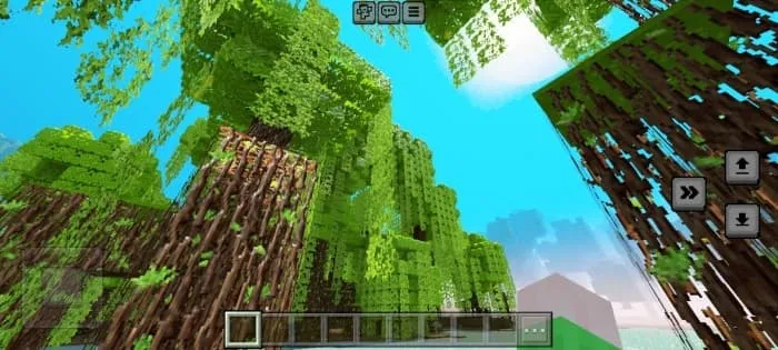 Новый вид неба