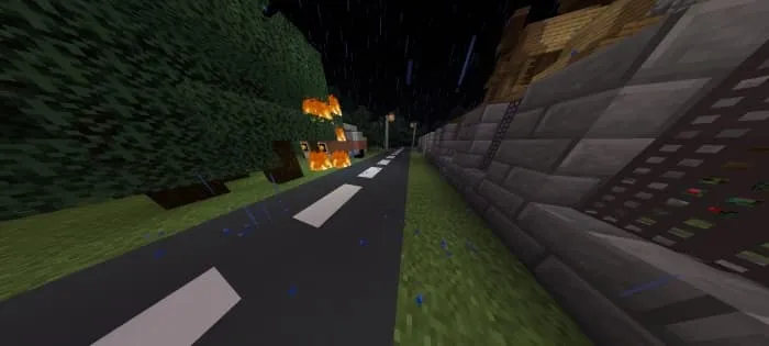 Дорога и лес