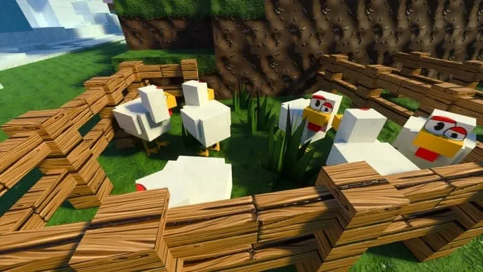 Новый вид куриц