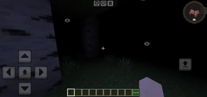 Иллюзии в темноте