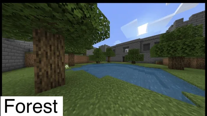 Лесная арена