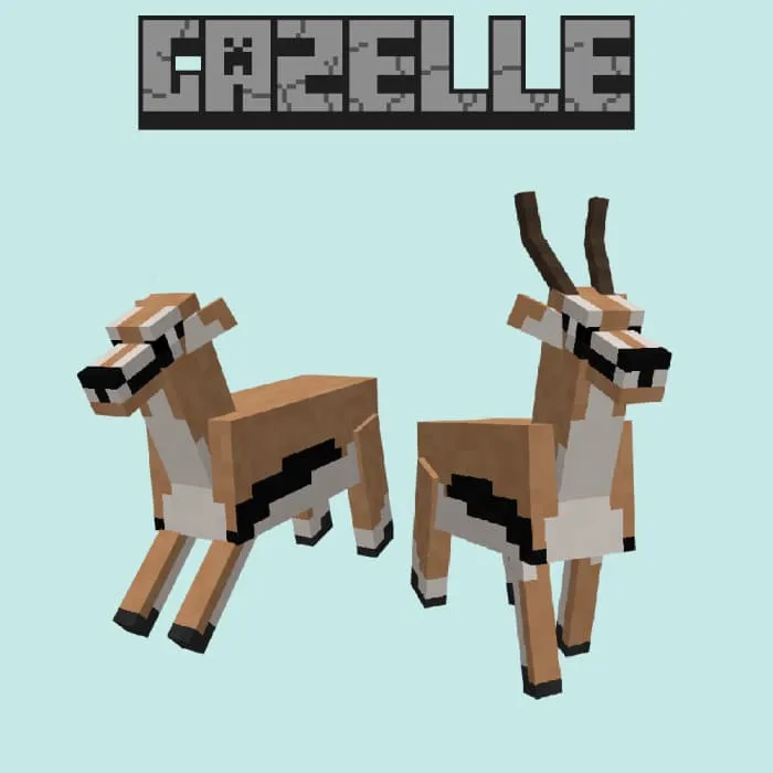 Животное: Газель