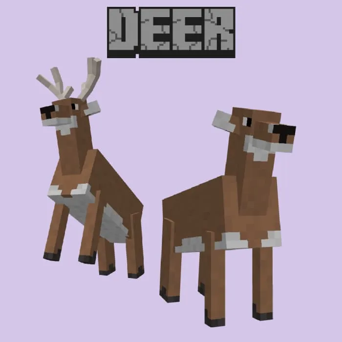 Животное: Олень