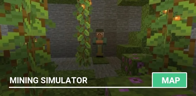 Map: Mining Simulator