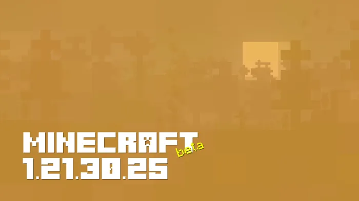 Minecraft 1.21.30.25