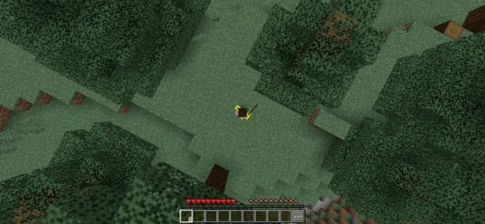 Режим вид сверху