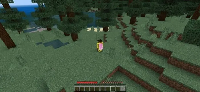 3 тип изометрической камеры