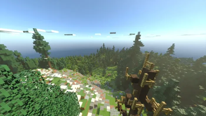 Тропинка и лес