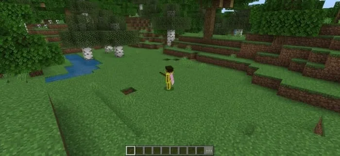 2 тип диметрической камеры